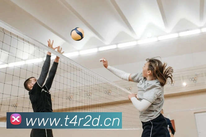 leyu乐鱼中国官方网站入口发展历程